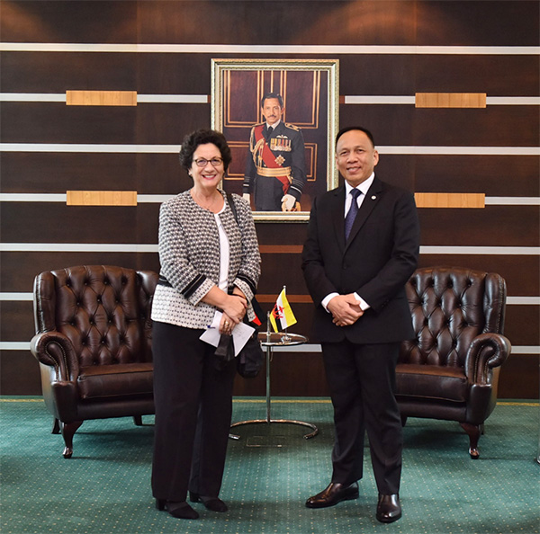 DEPUTY MINISTER OF DEFENCE RECEIVES COURTESY CALL FROM THE AMBASSADOR EXTRAORDINARY AND PLENIPOTENTIARY OF THE FEDERAL REPUBLIC OF GERMANY  TO BRUNEI DARUSSALAM