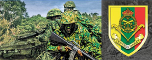 land_force_side_banner.jpg