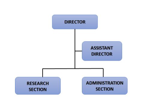 Mindef Structure DDP | MINDEF