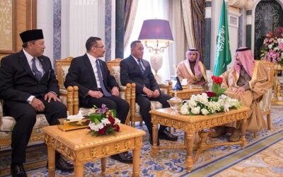 DEPUTY MINISTER OF DEFENCE CALLS ON KING SALMAN OF SAUDI ARABIA