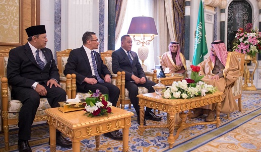 DEPUTY MINISTER OF DEFENCE CALLS ON KING SALMAN OF SAUDI ARABIA