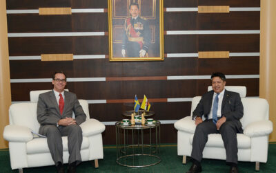 DEPUTY MINISTER OF DEFENCE RECEIVES COURTESY CALL FROM SWEDISH AMBASSADOR