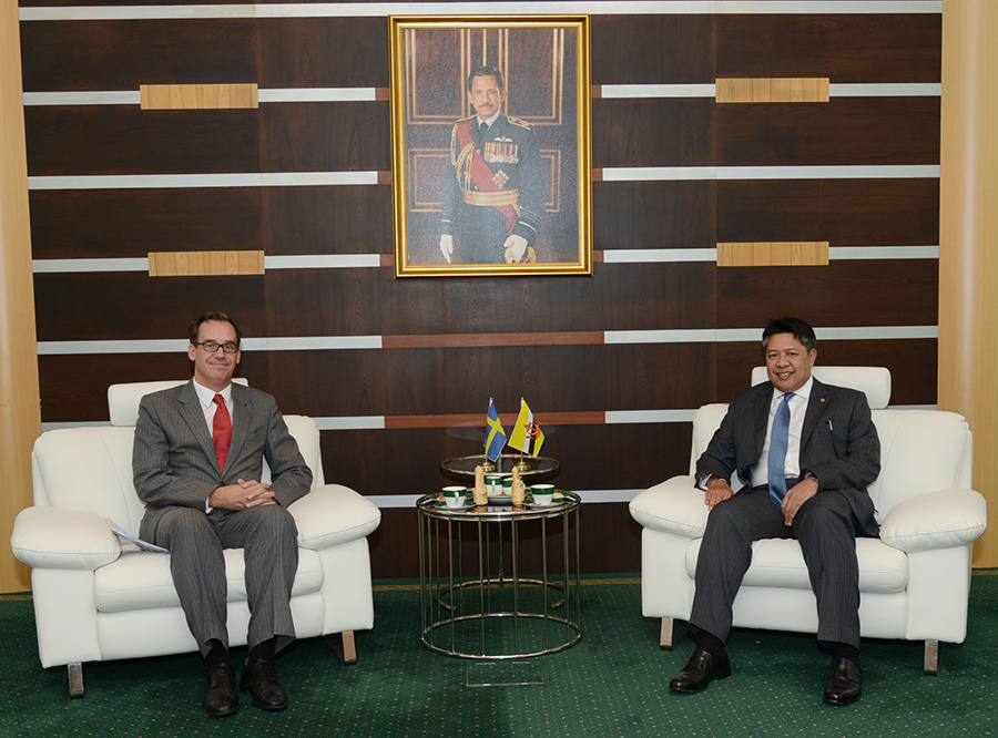 DEPUTY MINISTER OF DEFENCE RECEIVES COURTESY CALL FROM SWEDISH AMBASSADOR