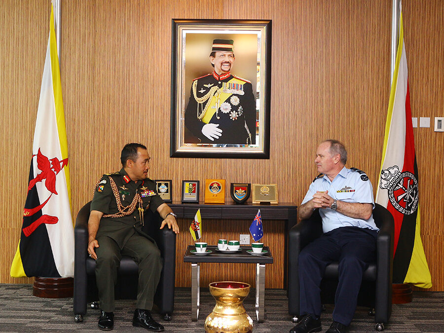 COURTESY CALL FROM DIRECTOR DEFENCE INTELLIGENCE ORGANISATION, AUSTRALIAN DEFENCE FORCE