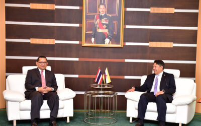 INTRODUCTORY CALL BY THE AMBASSADOR OF THAILAND