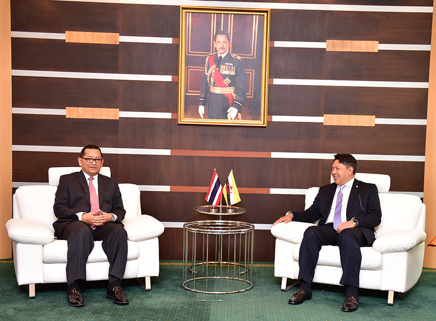 INTRODUCTORY CALL BY THE AMBASSADOR OF THAILAND