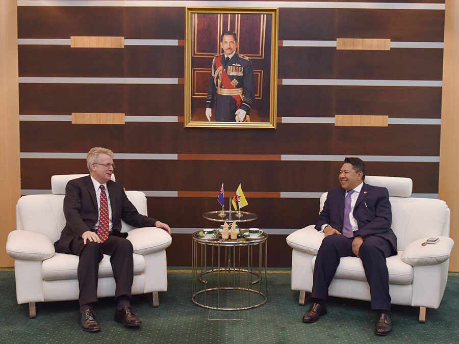 DEPUTY MINISTER OF DEFENCE RECEIVED FAREWELL CALL BY AUSTRALIAN HIGH COMMISSIONER