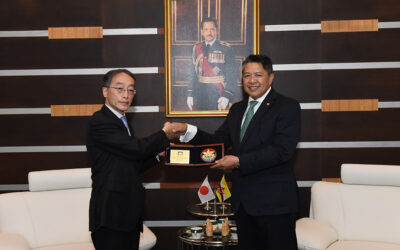 DEPUTY MINISTER OF DEFENCE RECEIVES INTRODUCTORY CALL BY JAPAN VICE-MINISTER OF DEFENSE FOR INTERNATIONAL AFFAIRS