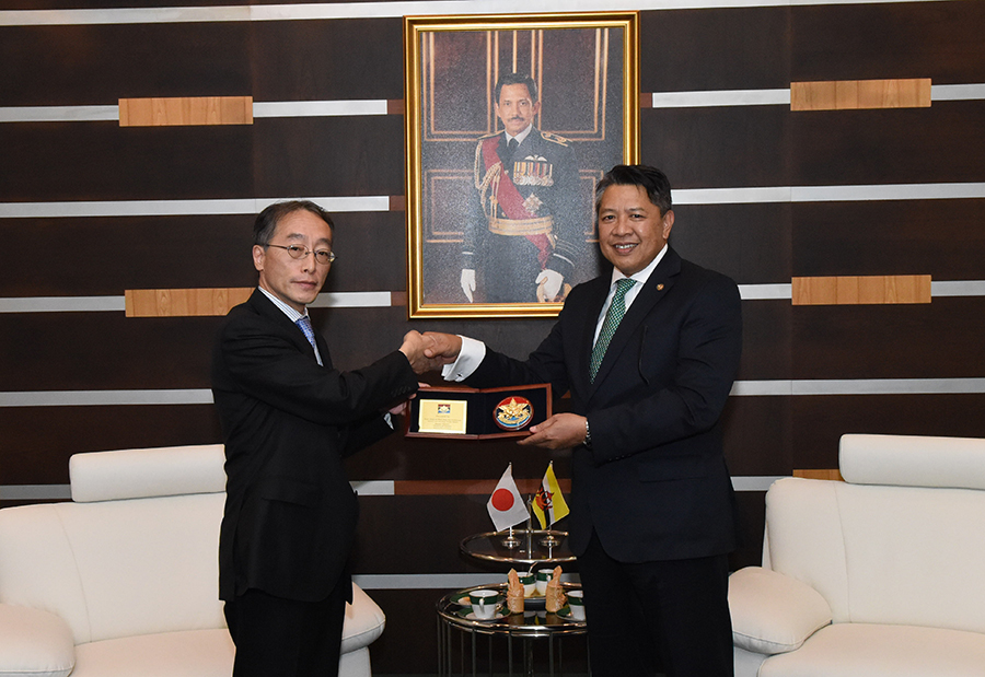 DEPUTY MINISTER OF DEFENCE RECEIVES INTRODUCTORY CALL BY JAPAN VICE-MINISTER OF DEFENSE FOR INTERNATIONAL AFFAIRS