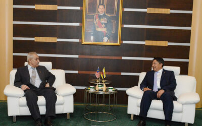 INTRODUCTORY CALL BY THE MALAYSIAN HIGH COMMISSIONER TO THE DEPUTY MINISTER OF DEFENCE
