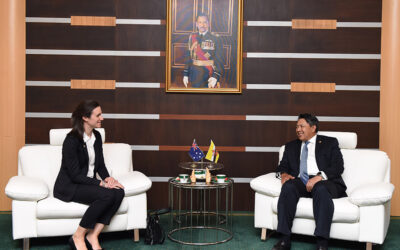 DEPUTY MINISTER OF DEFENCE RECEIVES INTRODUCTORY CALL BY AUSTRALIAN HIGH COMMISSIONER