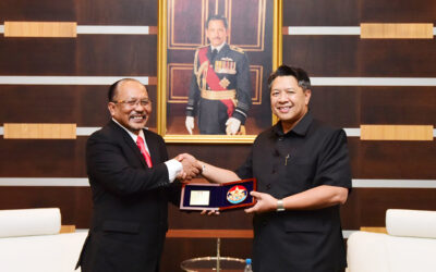 DEPUTY MINISTER OF DEFENCE RECEIVES CALL FROM SENIOR POLITICAL AND SECURITY ADVISER OF THE INTERNATIONAL COMMITTEE FOR THE RED CROSS