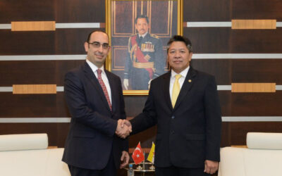 DEPUTY MINISTER OF DEFENCE RECEIVES INTRODUCTORY CALL FROM THE AMBASSADOR OF THE REPUBLIC OF TURKEY