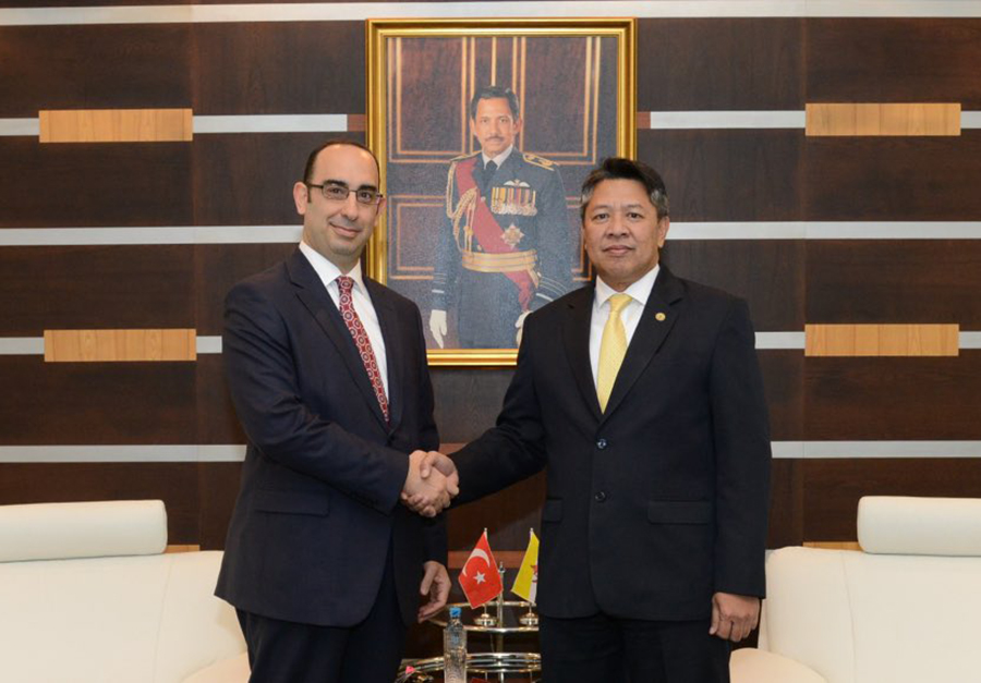 DEPUTY MINISTER OF DEFENCE RECEIVES INTRODUCTORY CALL FROM THE AMBASSADOR OF THE REPUBLIC OF TURKEY