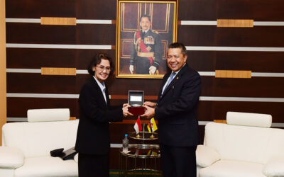 DEPUTY MINISTER OF DEFENCE RECEIVES FAREWELL CALL FROM THE OUTGOING AMBASSADOR OF REPUBLIC OF INDONESIA