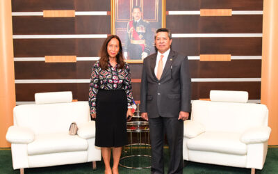 DEPUTY MINISTER OF DEFENCE RECEIVES FAREWELL CALL BY OUTGOING FRENCH AMBASSADOR TO BRUNEI DARUSSALAM