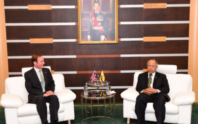 SECOND MINISTER OF DEFENCE RECEIVES COURTESY CALL FROM THE BRITISH HIGH COMMISSIONER TO BRUNEI DARUSSALAM