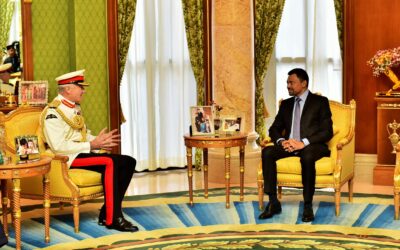 HIS ROYAL HIGHNESS THE CROWN PRINCE RECEIVES IN AUDIENCE VICE CHIEF OF THE DEFENCE STAFF OF THE UNITED KINGDOM