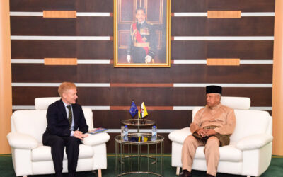 SECOND MINISTER OF DEFENCE RECEIVES COURTESY CALL FROM THE AMBASSADOR OF THE EUROPEAN UNION TO INDONESIA AND BRUNEI DARUSSALAM