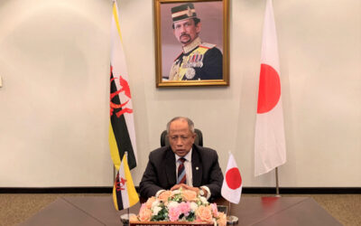 MINISTER OF DEFENCE II CONVENED A VIDEO CONFERENCE WITH JAPAN MINISTER OF DEFENSE