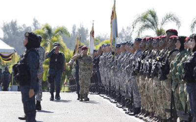 HIS MAJESTY THE SULTAN AND YANG DI-PERTUAN OF BRUNEI DARUSSALAM ATTENDS THE 61st RBAF ANNIVERSARY GRAND PARADE
