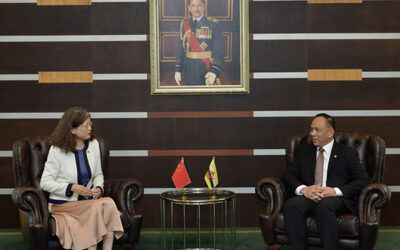 DEPUTY MINISTER OF DEFENCE RECEIVES INTRODUCTORY CALLS FROM THE AMBASSADOR OF THE PEOPLE’S REPUBLIC OF CHINA AND DEFENCE ATTACHÉ OF THE PEOPLE’S REPUBLIC OF CHINA TO BRUNEI DARUSSALAM