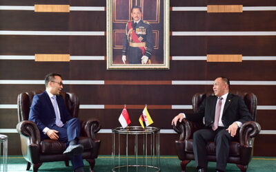 DEPUTY MINISTER OF DEFENCE RECEIVES CALL FROM PERMANENT SECRETARY (DEFENCE) OF THE REPUBLIC OF SINGAPORE