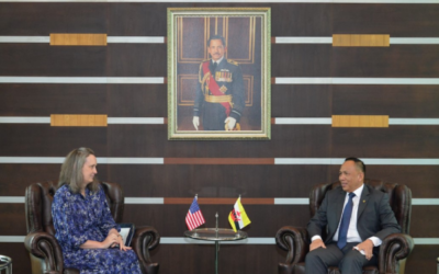 DEPUTY MINISTER OF DEFENCE RECEIVES INTRODUCTORY CALL BY THE AMBASSADOR EXTRAORDINARY AND PLENIPOTENTIARY OF THE UNITED STATES OF AMERICA TO BRUNEI DARUSSALAM