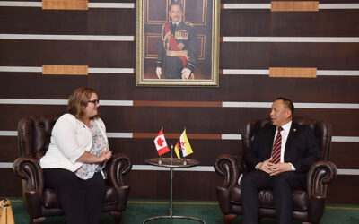 DEPUTY MINISTER OF DEFENCE RECEIVED INTRODUCTORY CALL FROM THE HIGH COMMISSIONER OF CANADA TO BRUNEI DARUSSALAM
