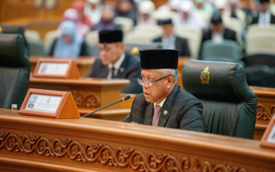 MINISTRY OF DEFENCE 2024-2025 BUDGET: EFFECTIVE DEFENCE TOGETHER TOWARDS THE SUCCESS OF VISION 2035″