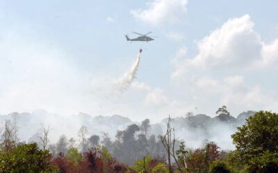RBAF PROVIDES ASSISTANCE FOR FOREST FIRE