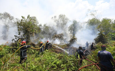 ROYAL BRUNEI ARMED FORCES PROVIDES FURTHER ASSISTANCE IN SERIA FOREST FIRE